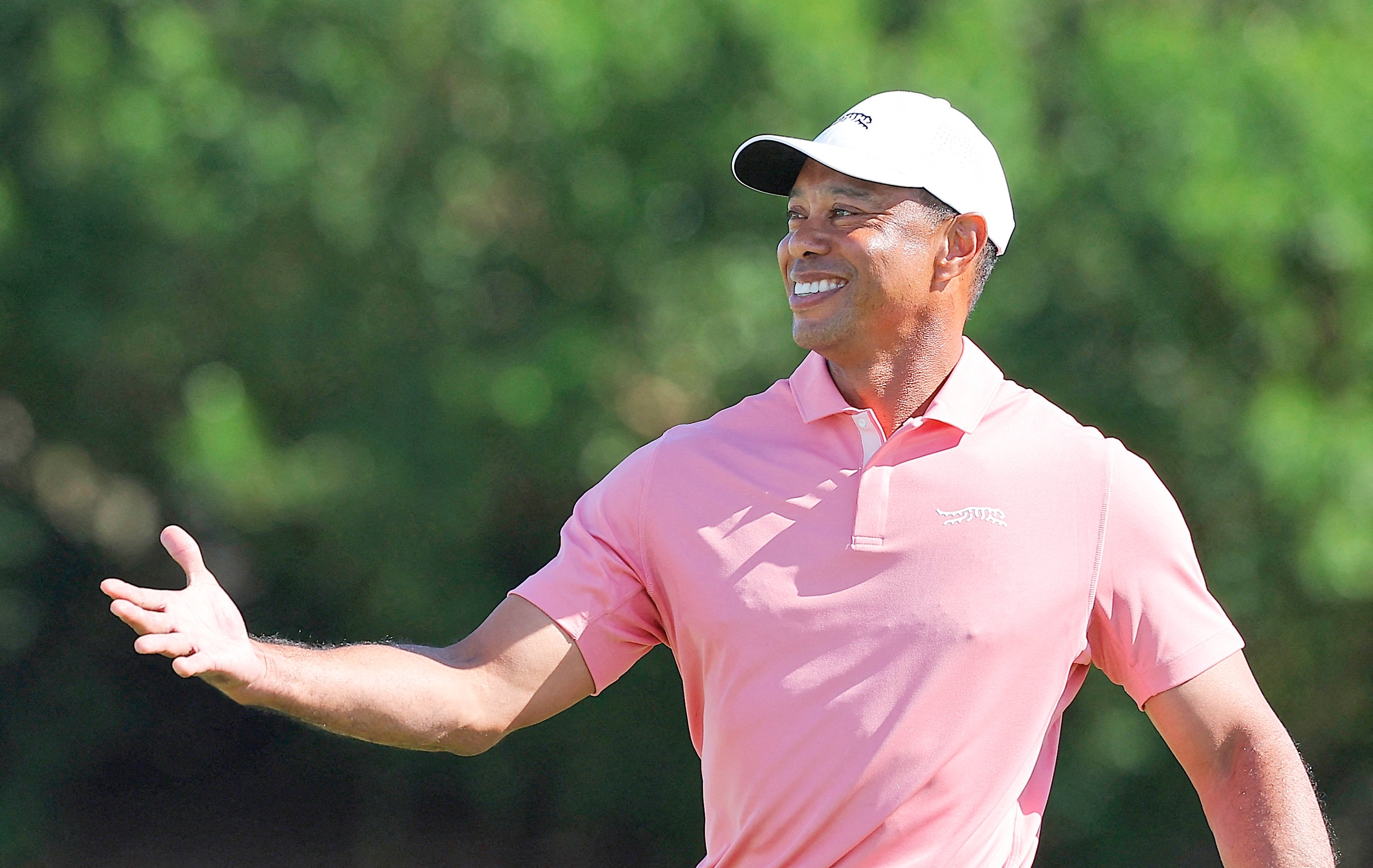 Woods tapped to overhaul golf