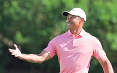 Woods tapped to overhaul golf