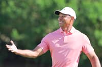 TIGER Woods has been tasked to lead a committee that will review the shake-up in professional golf in Northern America.