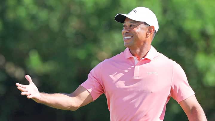 TIGER Woods has been tasked to lead a committee that will review the shake-up in professional golf in Northern America.