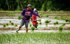 Pangilinan welcomes rice import ban, tariff hike