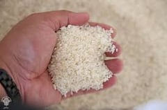 DA studies Filipino shift toward Vietnamese rice