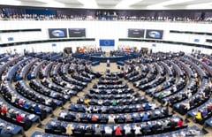 EU funds local green solutions