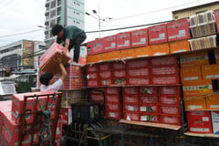 Global labor risks among highest in Phl