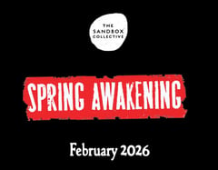 Sandbox Collective to stage Tony-winner 'Spring Awakening' in 2026