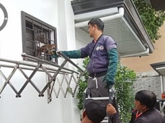 Stray monkey rescued in Angeles City