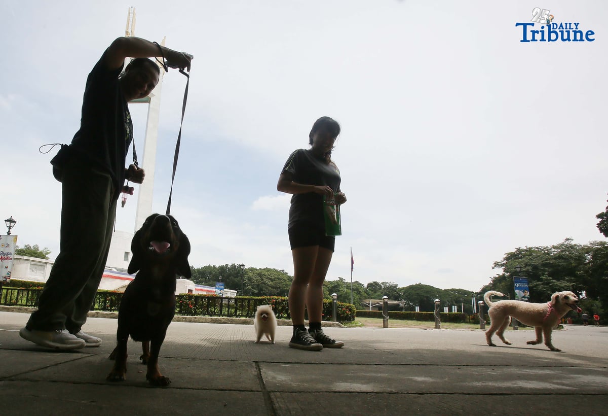 Families with their pets enjoy the National Heroes Day holiday by spending quality time at the Quezon Memorial Circle in Quezon City on Monday.