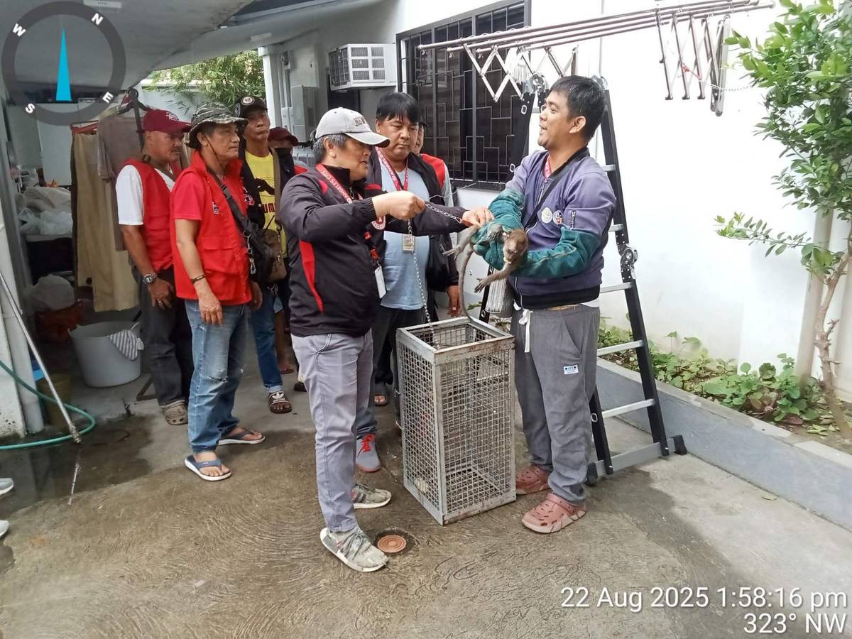 Photo by Angeles City Government