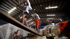 DA seeks NFA powers back, eyes private sector role in rice buffer stocks