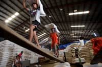 DA seeks NFA powers back, eyes private sector role in rice buffer stocks
