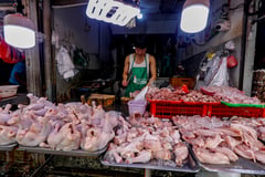 FDA clears bird flu vax, DA elated