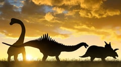 ‘Strangest’ dinosaur covered in spiked armory