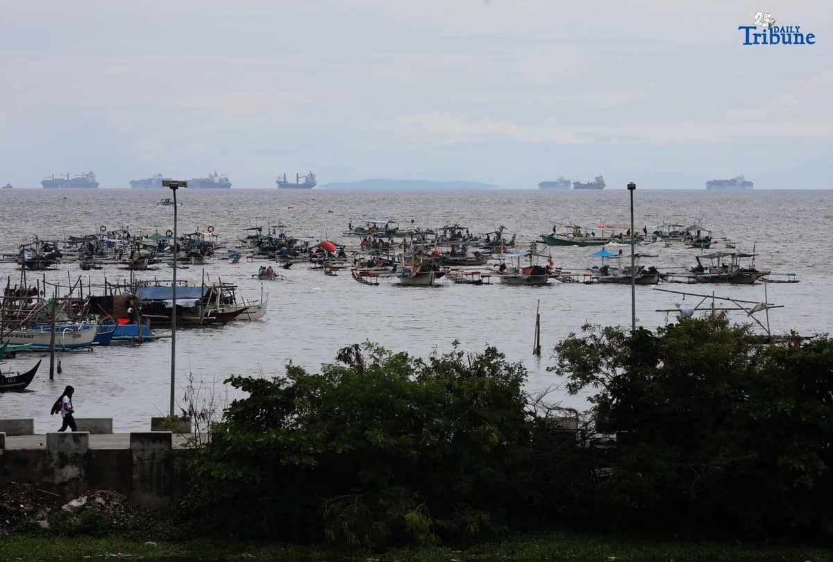 (August 29 2025) Fishers boats were seen standby at the fish port in Tanza Navotas on Thursday 28 2025. Photo/Analy Labor