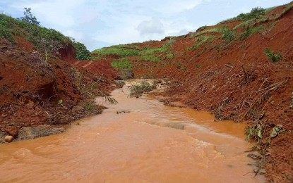 Church, civil groups nix Negros palm oil deal