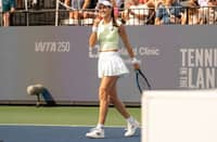 WTA trophy disappears from winner Cirstea's hotel room during U.S. Open