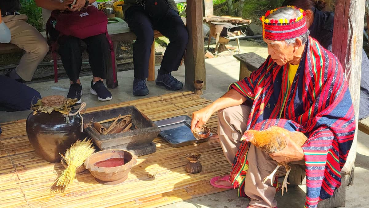 In the baki, a divination ritual, the mumbaki examines the gallbladder of the sacrificial chicken if the spirits are in favor of holding the Punnuk.