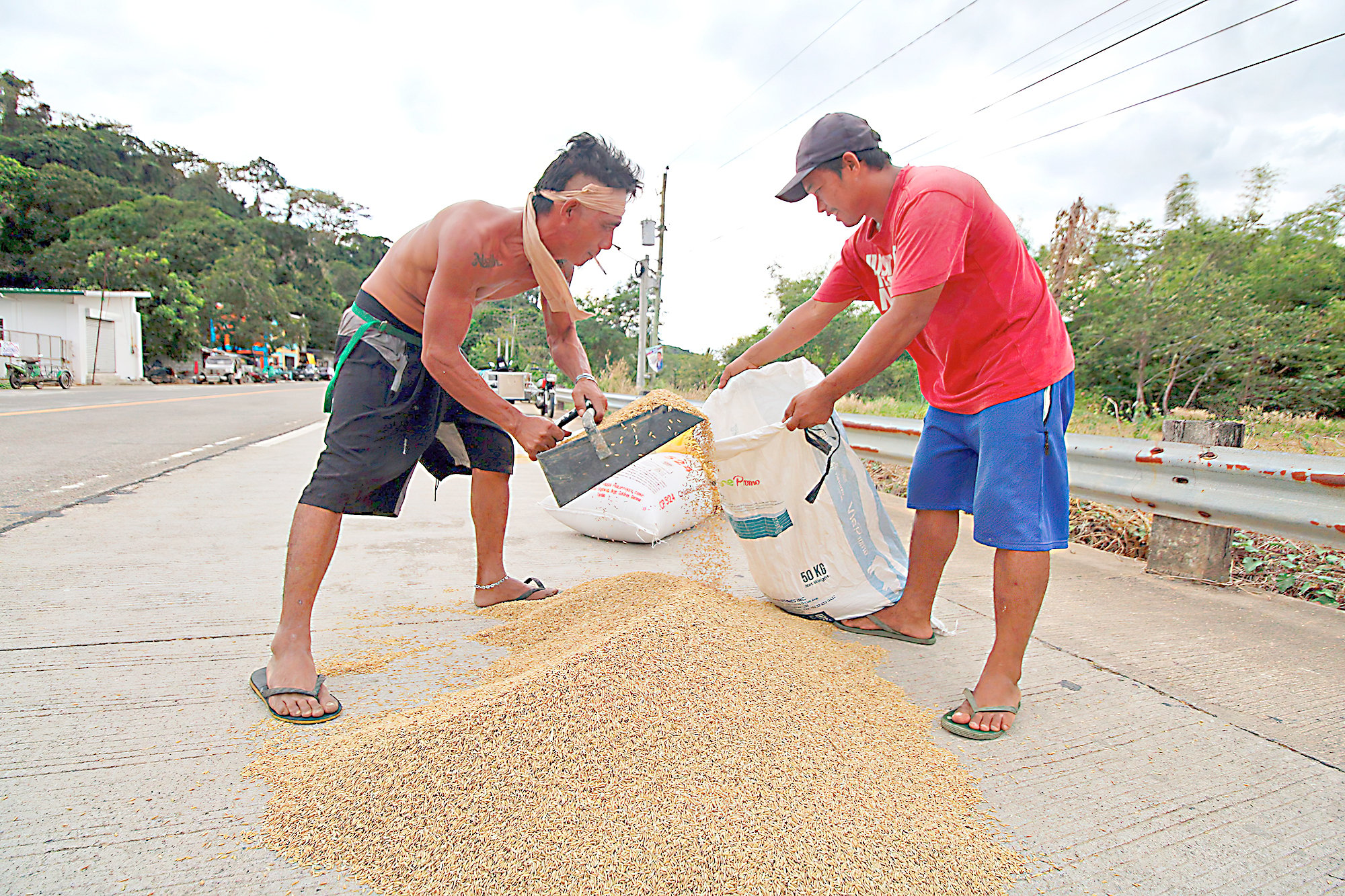 More agri insurers to boost food security