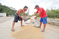 More agri insurers to boost food security