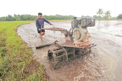 Palawan offers crop insurance payout to farmers
