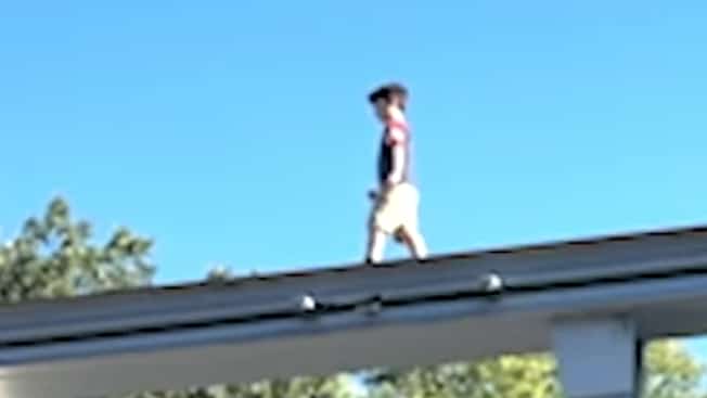 Child saved from Hersheypark elevated monorail in viral rescue