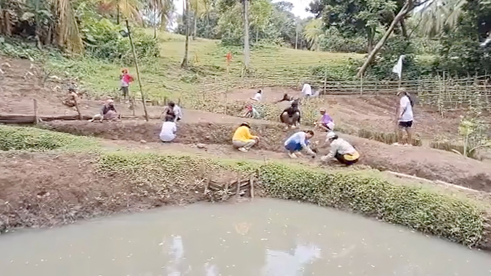 Mini eco-park eyed as agri-tourism site