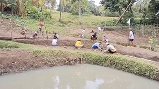 Mini eco-park eyed as agri-tourism site