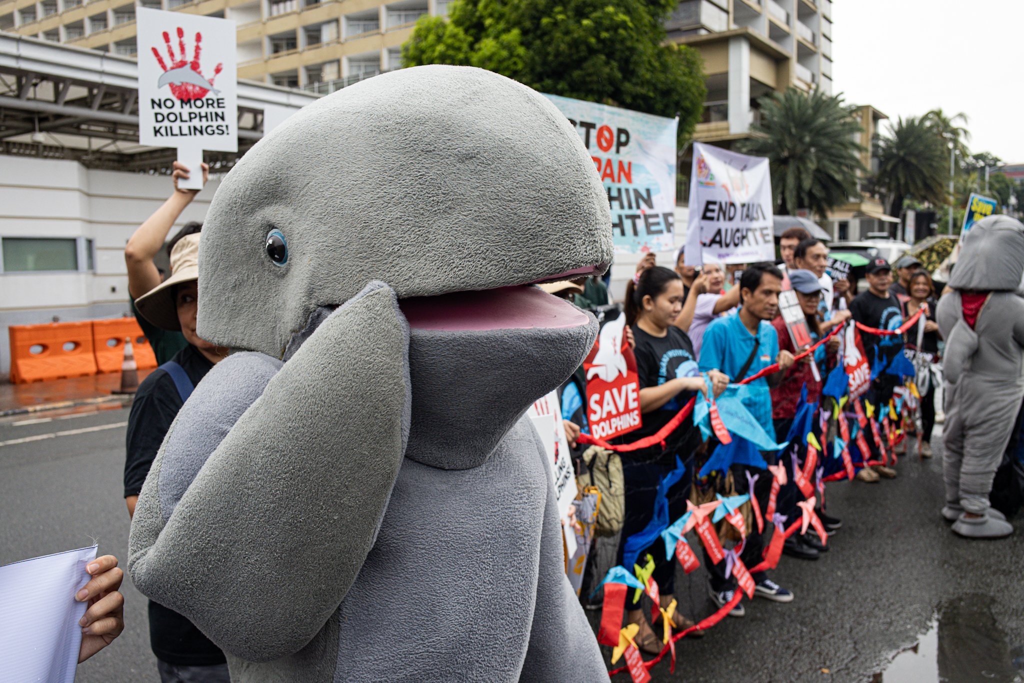 Animal welfare advocates mark Global Dolphin Day with rally