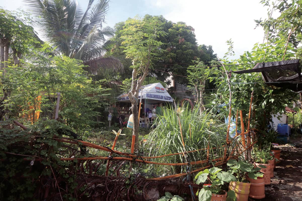 2nd Runner-up HOA Category: Community Federation Garden, Barangay Talon Singko