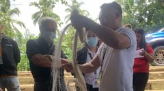 DTI provides MisOr farmers abaca mechanization