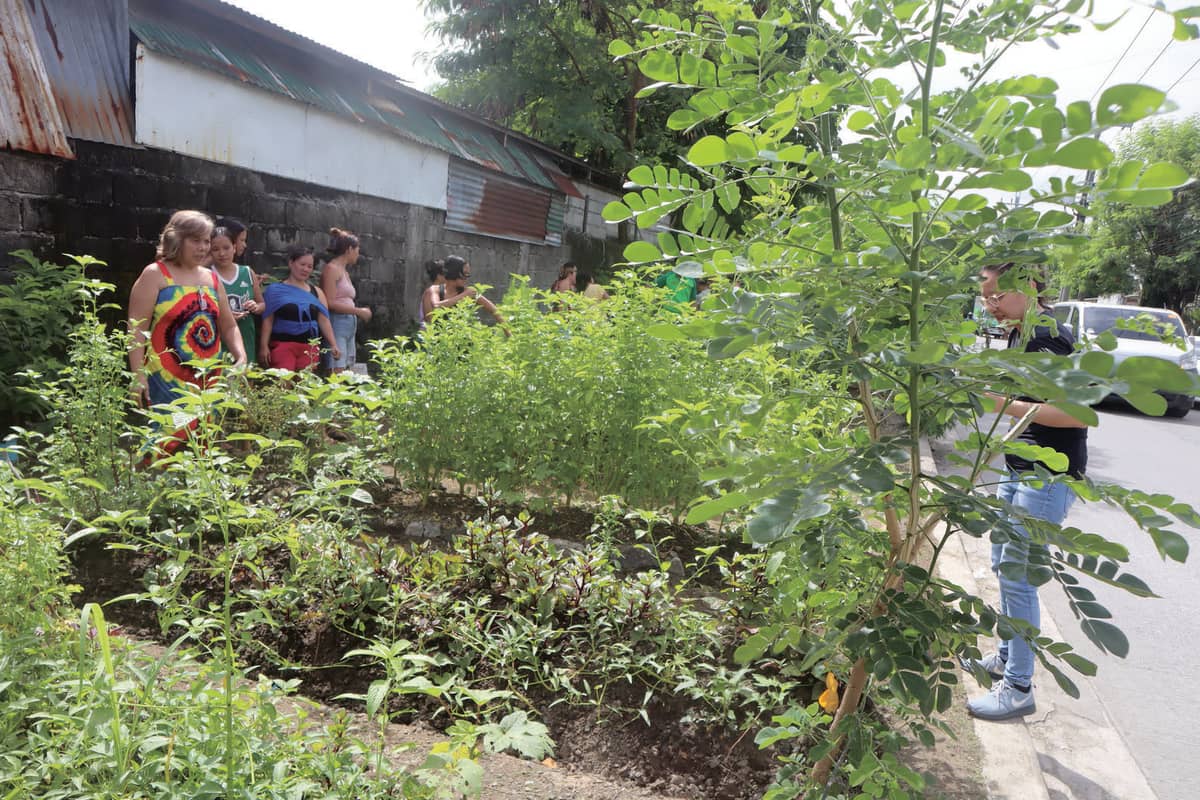 Champion HOA Category: Samahang ng Makakaroon ng Sariling Bahay Inc. Community Garden in Manuyo Uno