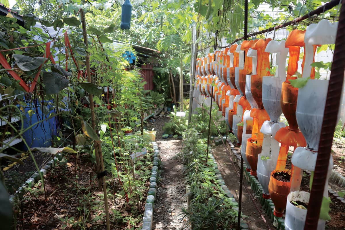 1st Runner-up Barangay Category: Barangay Talon Kwatro Community Garden