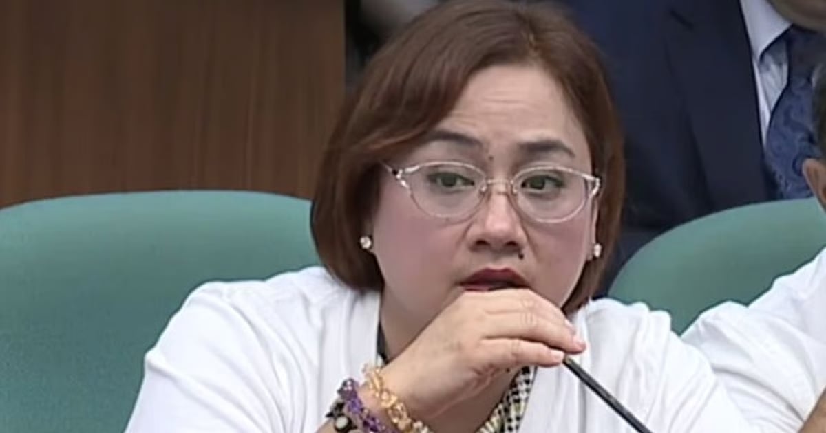 PCAB revokes Discaya’s contractor licenses
