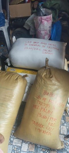 Lawmaker pushes fair trade for Kalinga farmers

