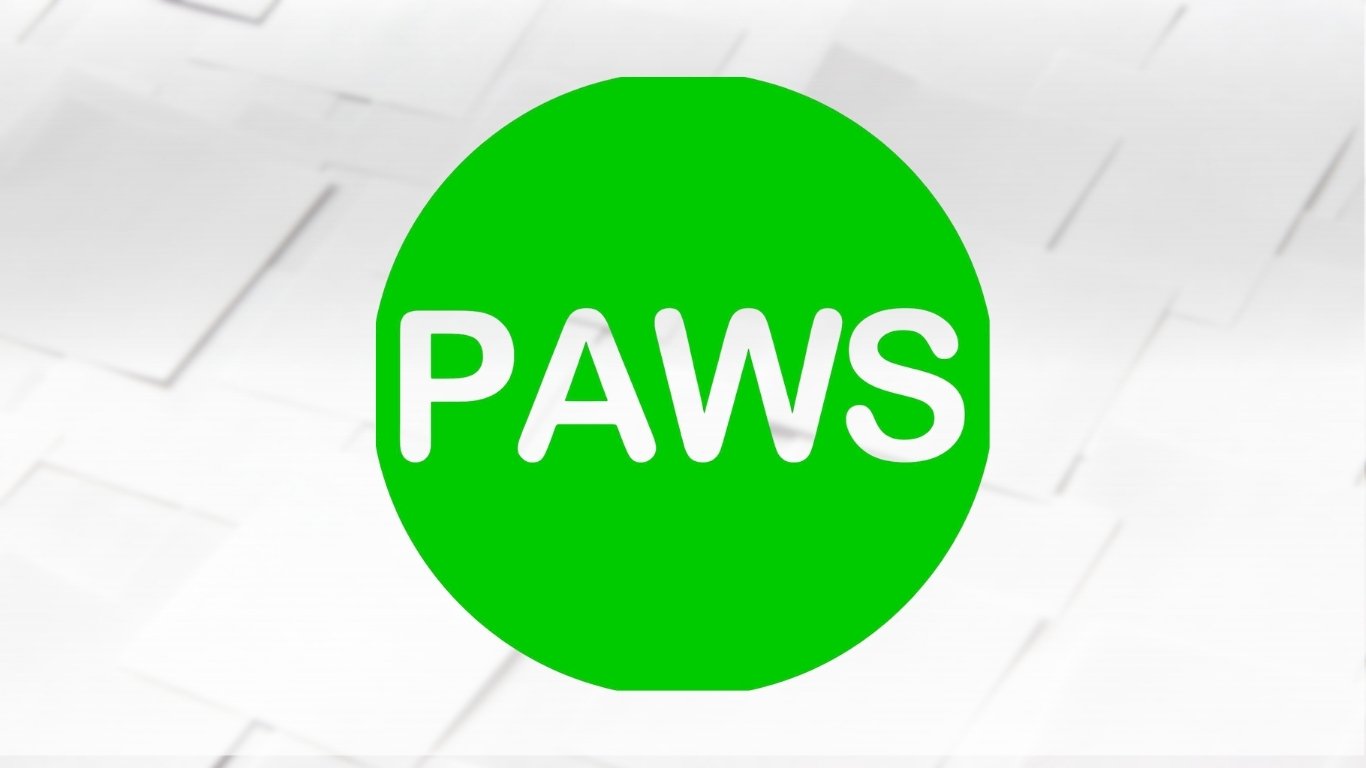 PAWS eyes raps vs ‘abusive’ K9 handler