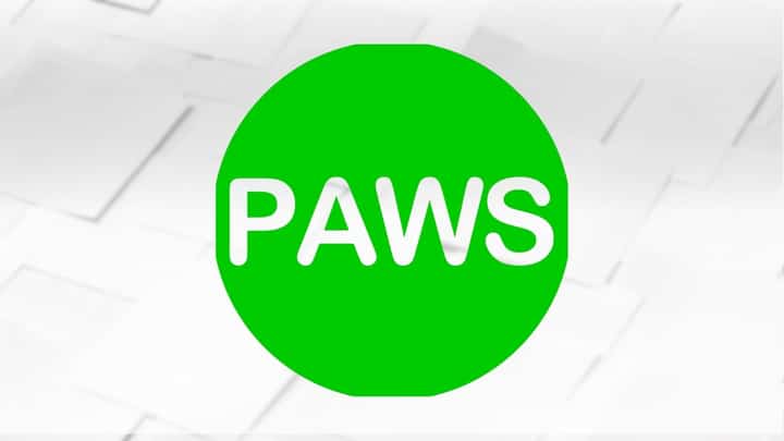 PAWS eyes raps vs ‘abusive’ K9 handler