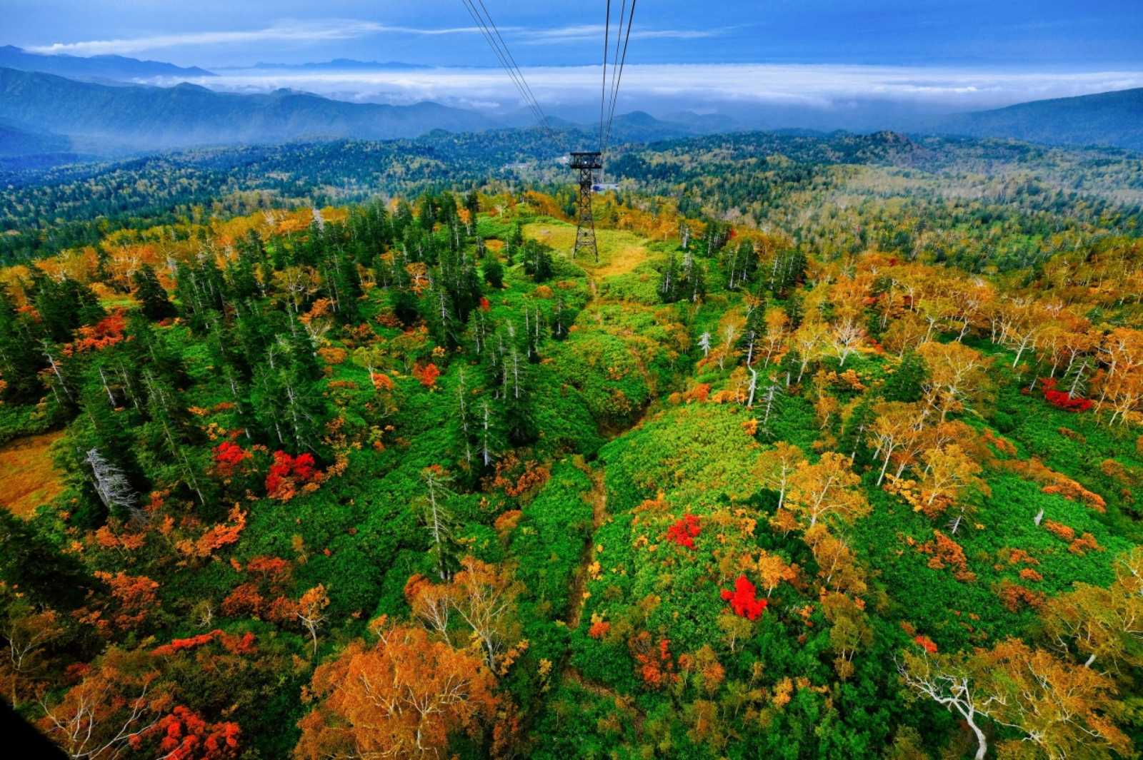 IN Hokkaido, September paints mountains, gardens and hot springs in crimson and gold — offering Japan’s earliest, most serene glimpse of the season.