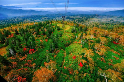 Where autumn comes first