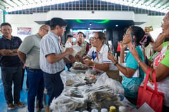 Reforms disable graft, boost welfare — Marcos