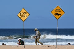 ‘Large shark’ kills man off Sydney beach