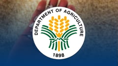 DA steps up interventions, keeps food prices stable
