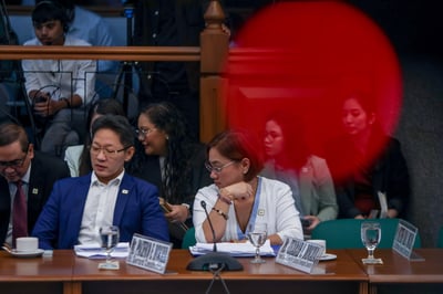 Discaya claims further naming of politicians is now 'useless'