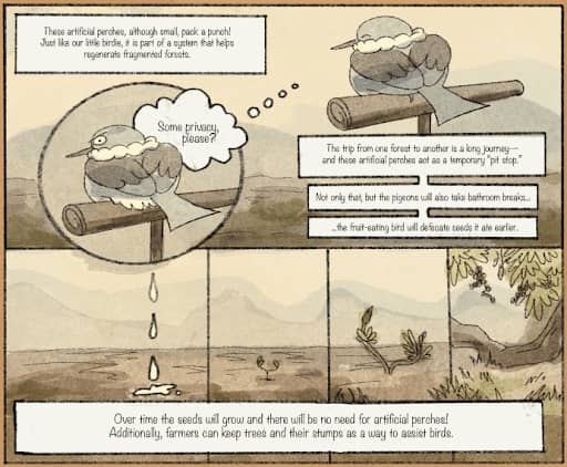 Clipping from the comic ‘How birds can help farms and forests in the Philippines,’ by Jelaine Gan and Jessica Stutman.