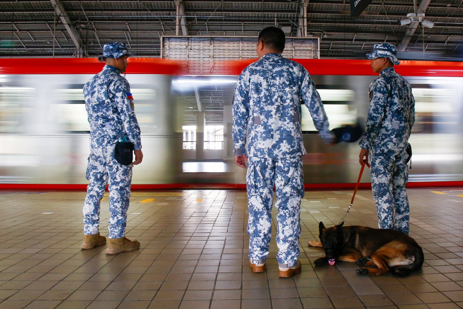 Members of the Philippine Coast Guard EOD K9 Force prepare their trained dogs for deployment across Metro Manila train stations on the morning of 08 September 2028. The Coast Guard said dedicated teams are manning all stations round-the-clock to boost security, ensure passenger safety, and manage the heavy influx of commuters.