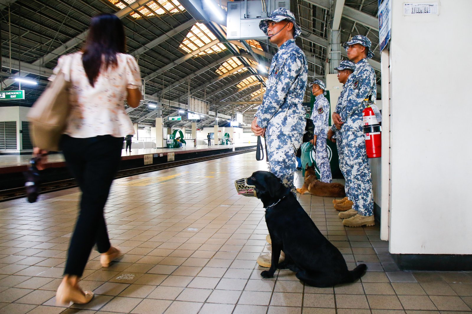 Members of the Philippine Coast Guard EOD K9 Force prepare their trained dogs for deployment across Metro Manila train stations on the morning of 08 September 2028. The Coast Guard said dedicated teams are manning all stations round-the-clock to boost security, ensure passenger safety, and manage the heavy influx of commuters.