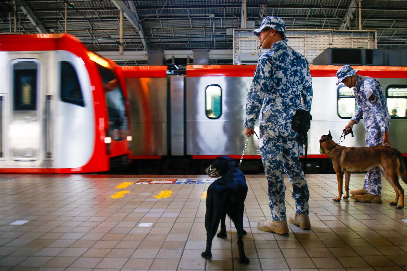 Members of the Philippine Coast Guard EOD K9 Force prepare their trained dogs for deployment across Metro Manila train stations on the morning of 08 September 2028. The Coast Guard said dedicated teams are manning all stations round-the-clock to boost security, ensure passenger safety, and manage the heavy influx of commuters.