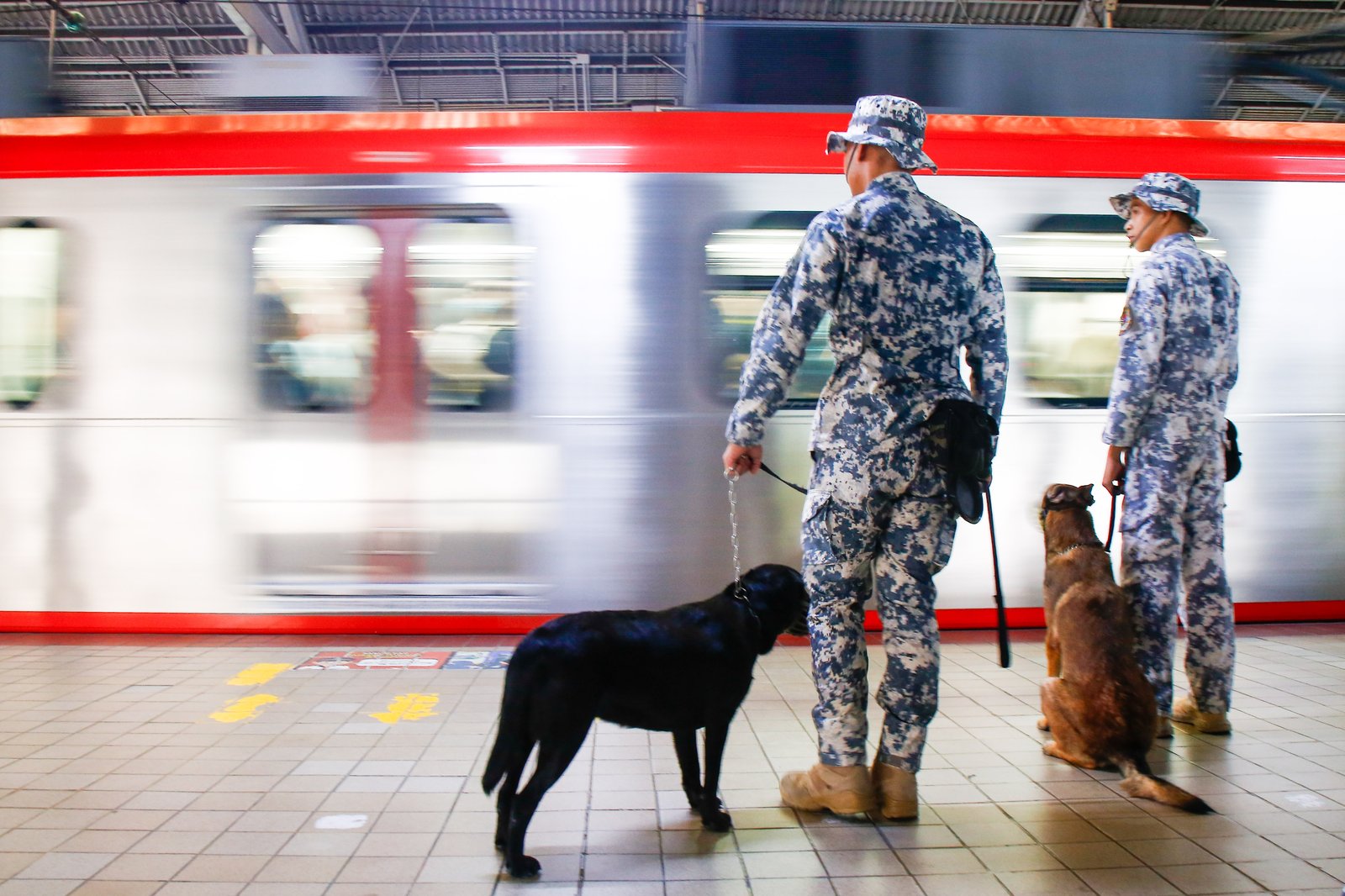 Members of the Philippine Coast Guard EOD K9 Force prepare their trained dogs for deployment across Metro Manila train stations on the morning of 08 September 2028. The Coast Guard said dedicated teams are manning all stations round-the-clock to boost security, ensure passenger safety, and manage the heavy influx of commuters.