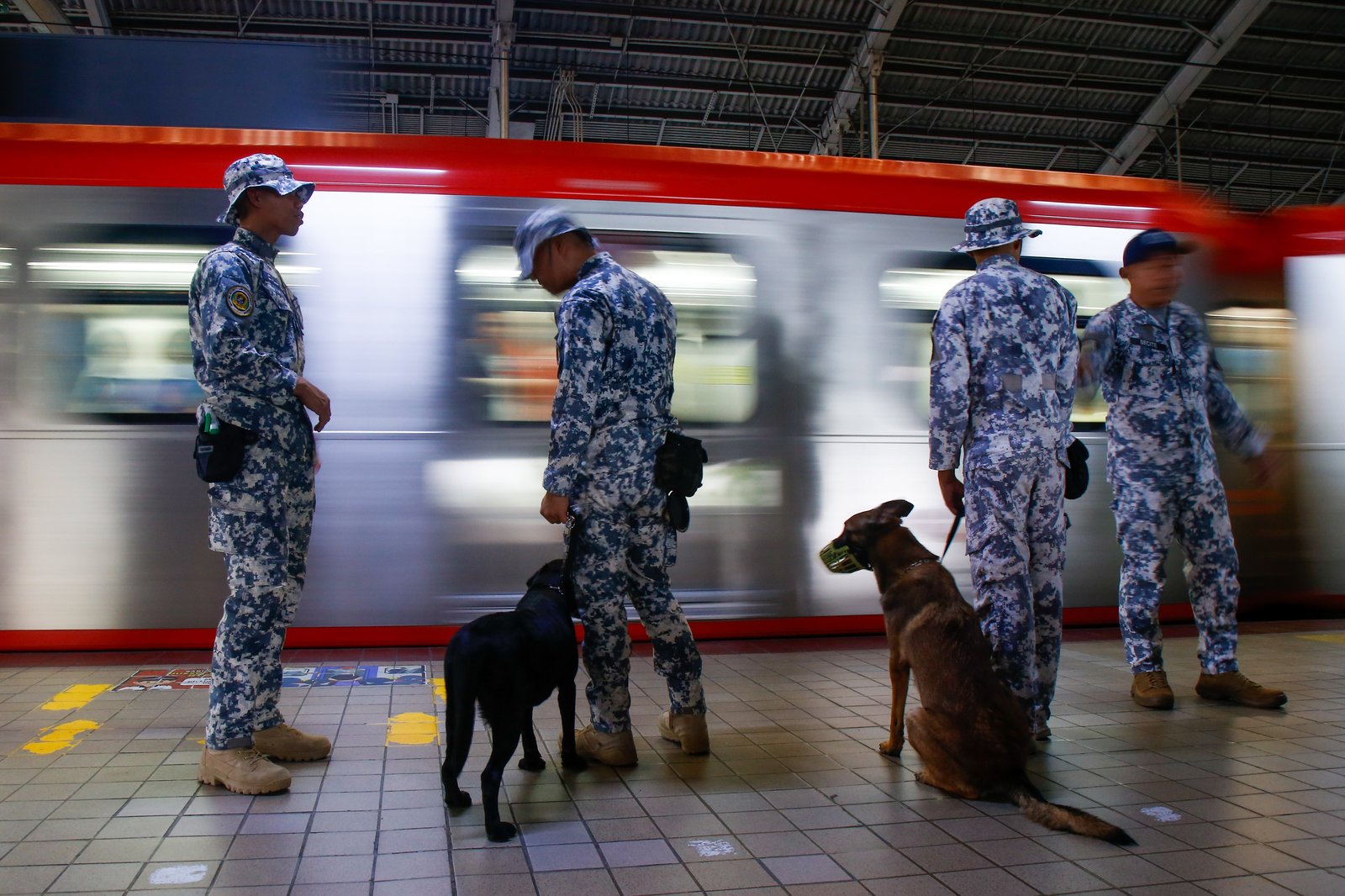Members of the Philippine Coast Guard EOD K9 Force prepare their trained dogs for deployment across Metro Manila train stations on the morning of 08 September 2028. The Coast Guard said dedicated teams are manning all stations round-the-clock to boost security, ensure passenger safety, and manage the heavy influx of commuters.