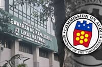 COA flags P93.55M in stalled Carcar projects