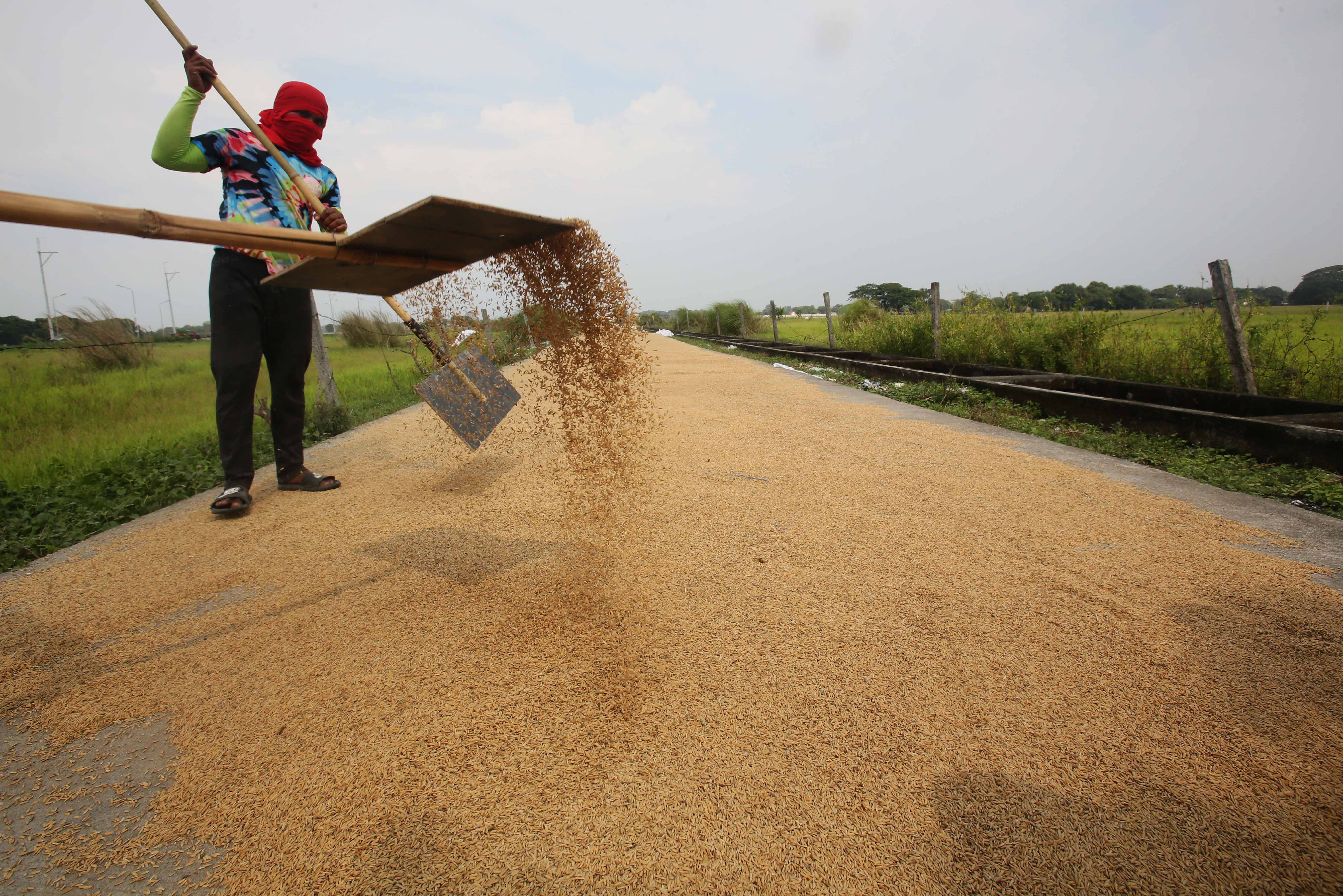 #TinoPH spares rice, corn supply; power sector hit hard