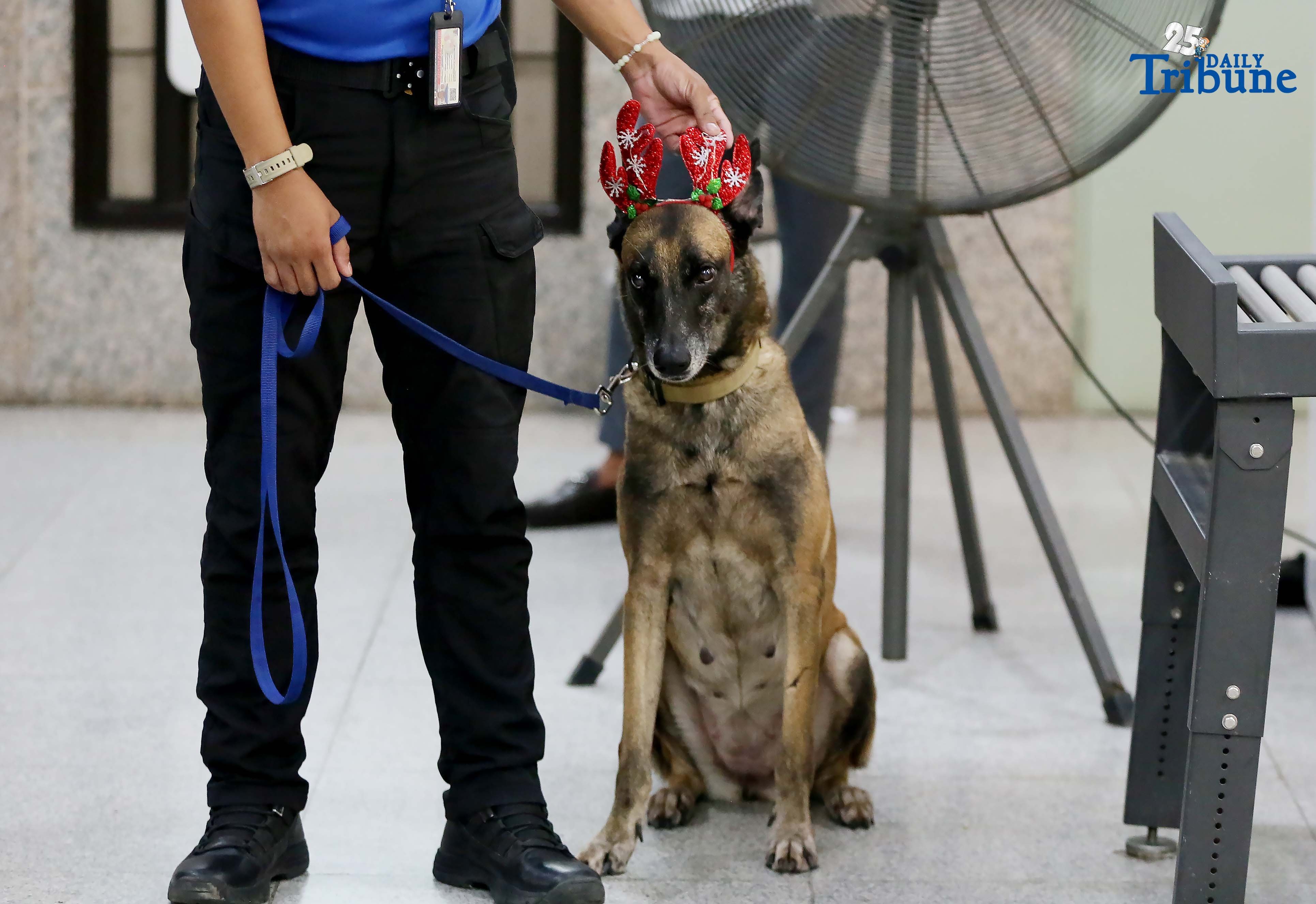 K9 unit adds holiday cheer while guarding Ombudsman office